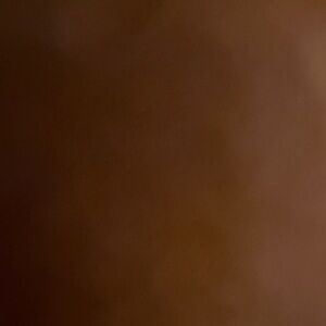 Elegant Brown Women's Bag